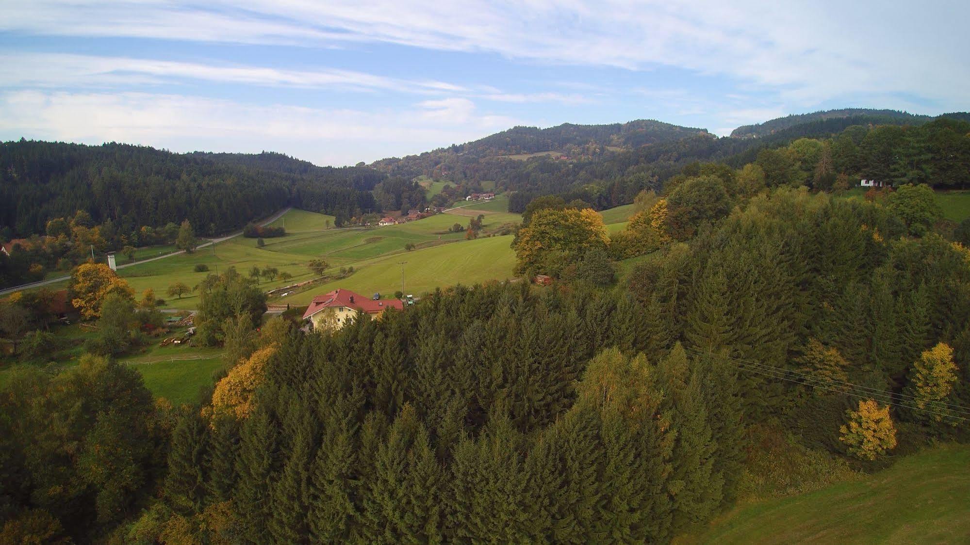 Village Hotel Bayerischer Wald Neukirchen Kültér fotó